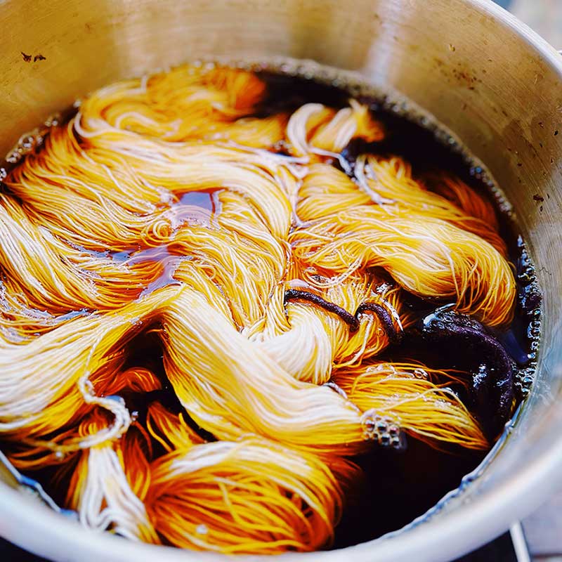 Tageskurs Wolle mit regionalen Pflanzen färben (13. Juni 2026) – Bild 7