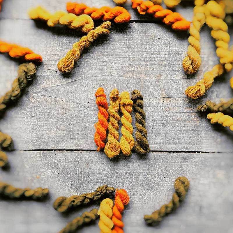 Tageskurs Wolle mit regionalen Pflanzen färben (13. Juni 2026) – Bild 2