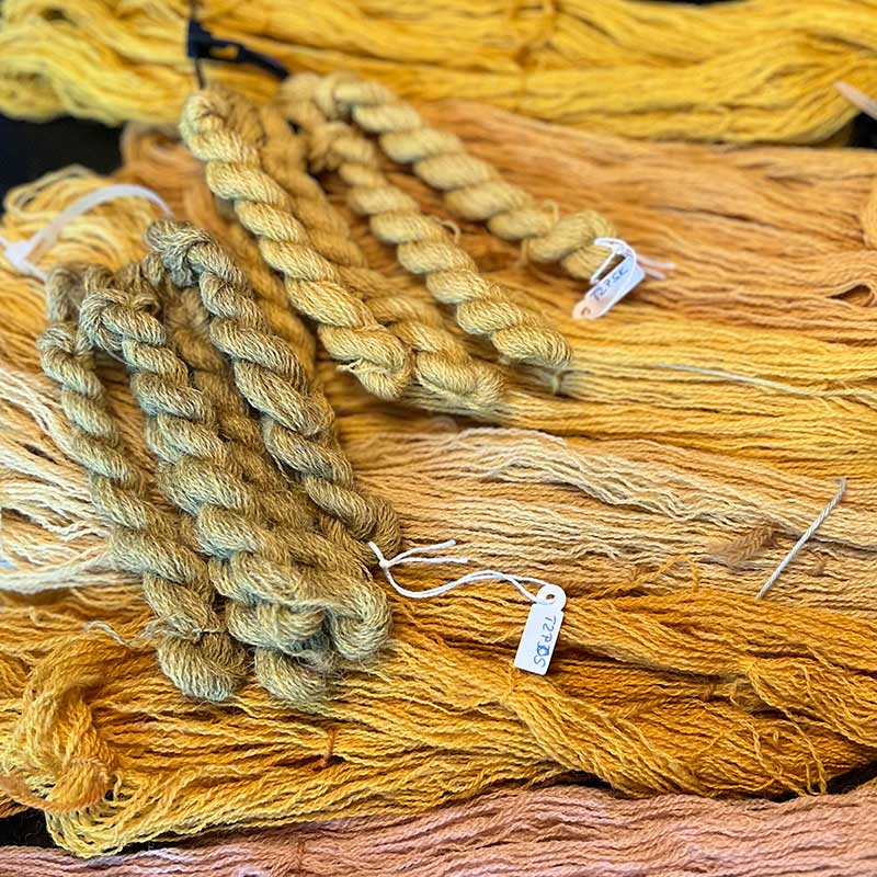 Tageskurs Wolle mit regionalen Pflanzen färben (13. Juni 2026) – Bild 3