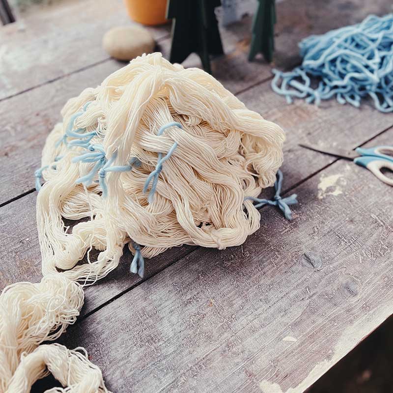 Tageskurs Wolle mit regionalen Pflanzen färben (13. Juni 2026) – Bild 6