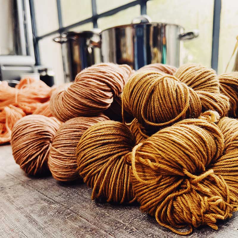 Tageskurs Wolle mit regionalen Pflanzen färben (13. Juni 2026) – Bild 8